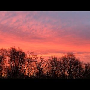 Meet your Posher, Gabriel